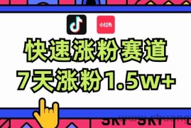 （11949期）涨粉超快蓝海赛道！轻松伪原创，7天涨粉1.5w+