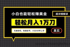 谷歌看广告撸美金2.0，无脑挂机，多号操作，月入1万刀【揭秘】