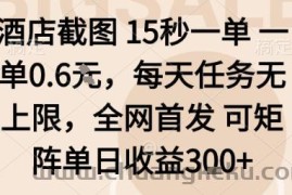 酒店截图15秒一单，一单0.6米，每天任务无上限，全网首发可矩阵单日收益3张【揭秘】