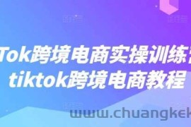 TikTok跨境电商实操训练营，tiktok跨境电商教程