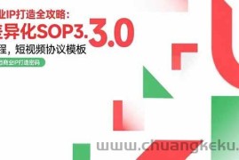 （15486期）商业IP打造全攻略：差异化SOP3.0流程，短视频协议模板，婚恋项目实战案例