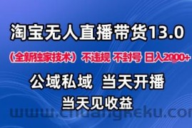 淘宝无人直播13.0，公域私域技术，不封号，不违规布局下半年旺季赛道，日入1K+（独家技术）【揭秘】