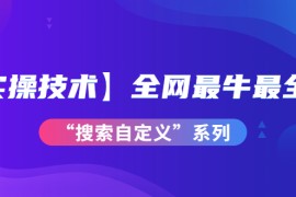 （3909期）【实操技术】全网最牛最全的“搜索自定义”系列！价值698元