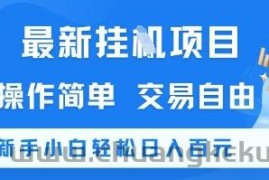 最新挂G项目，操作简单，交易自由，新手小白轻松日入100+【揭秘】