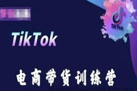 TikTok电商带货训练营，跟随时代潮流，跨境掘金