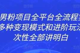 ZGKJ男粉项目全平台全流程实操拆解，多种变现模式和进阶玩法，一次性全部讲明白