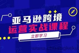 亚马逊跨境运营实战课程：涵盖亚马逊运营、申诉、选品等多个方面