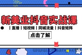 新美业抖音实战课丨直播丨短视频丨同城流量丨抖音矩阵（30节课）