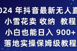 2024年抖音最新无人直播小雪花卖收纳教程，小白也能日入900+落地实操保姆级教程【揭秘】