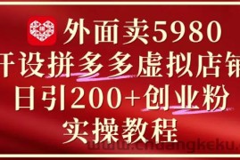 外面卖5980开设拼多多虚拟店铺：单日引流200+创业付费粉实战教程