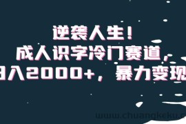 逆袭人生！成人识字冷门赛道，日入2000+，暴力变现！【揭秘】