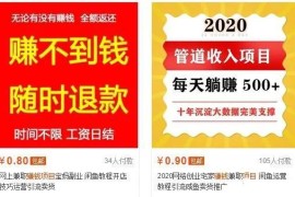 （1395期）生财有道 12个年入10W的新手赚钱暴利CPS项目溯本归源（23节视频课程）