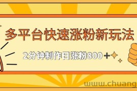 多平台快速涨粉最新玩法，2分钟制作，日涨粉800+【揭秘】