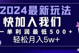 （12285期）三天赚1.6万！每单利润500+，轻松月入7万+小白有手就行