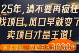 什么？25年你还在疯狂找项目做，醒醒吧，看完这些你全都懂了【揭秘】