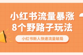 （6476期）小红书流量-暴涨8个野路子玩法：小红书新人快速流量破局（8节课）