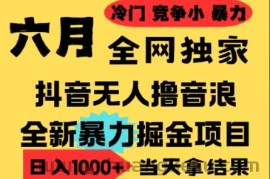 25年6月高爆抖音无人直播最新撸音浪掘金项目，小白可做，无脑日入1k+，门槛低可批量矩阵【揭秘】