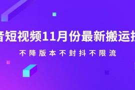 （2141期）抖音短视频11月份最新搬运技术，不降版本不封抖不限流！【视频课程】