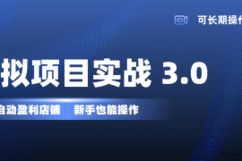 虚拟项目实操落地 3.0,新手轻松上手，单品月入1W+