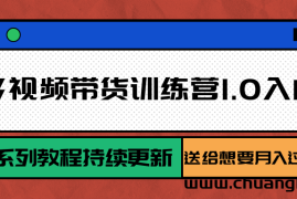 多多视频带货训练营1.0入门篇，全套系列教程持续更新，送给想要月入过万的你