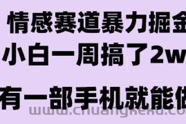 情感暴力掘金项目，新人操作一周挣了2W，长期稳定小白可做【揭秘】