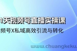 21天视频号直播实操课，视频号X私域高效引流与转化（22节课）