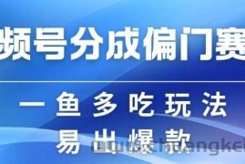 视频号创作者分成计划偏门类目，容易爆流，实拍内容简单易做【揭秘】