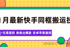 11月最新快手同框搬运技术，无需混剪 条条出爆款 安卓苹果通用