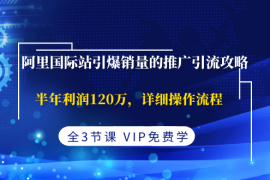 （1374期）阿里国际站引爆销量的推广引流攻略，半年利润120万，详细操作流程(全3节课)