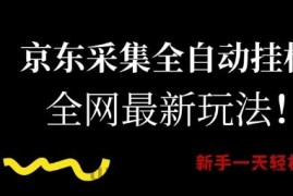 京东采集全自动挂G项目，全网最新玩法新手一天轻松5张【揭秘】