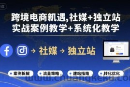 跨境电商新机遇，社媒+独立站，实战案例教学+系统化教学