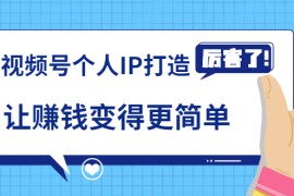 （1740期）《视频号个人IP打造》让赚钱变得更简单，打开财富之门（视频课程）