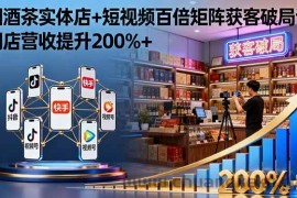 （16272期）烟酒茶实体店+短视频百倍矩阵获客破局课：门店营收提升200%+