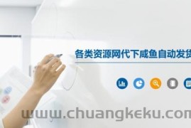 各类资源网代下咸鱼自动发货