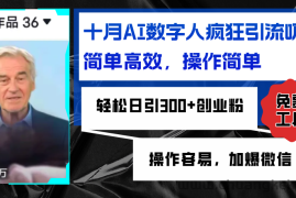 （12963期）AI数字人疯狂引流吸粉，简单高效，日引300+创业粉 ，操作容易，加爆微信