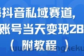 蓝海抖音私域赛道，实操单账号当天变现288+(附教程)