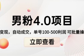 （4137期）道哥说创业男粉1+2+3+4.0项目：私域变现 自动成交 单号100-500利润 可批量