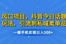 （6588期）风口项目，抖音今日话题玩法，引流到私域卖单品，一部手机实现日入500+