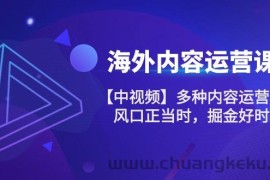 （10833期）海外内容 运营课【中视频】多种内容运营玩法 风口正当时 掘金好时机-101节