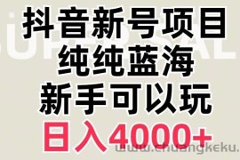 抖音蓝海赛道，必须是新账号，日入4000+【揭秘】