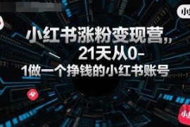 小红书涨粉变现营，21天从0-1做一个挣钱的小红书账号