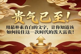付费文章：贵气已至！用最朴素直白的文字，让你知道该如何接住这一次时代的泼天富贵！