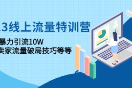 （4567期）2023线上流量特训营：包含暴力引流10W+中小卖家流量破局技巧等等