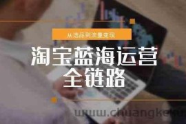 淘宝蓝海运营全链路，从选品到流量变现，小类目突围完整方案