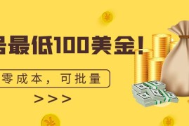 （6975期）单号最低100美金，零成本，小白无脑操作。可复制，可扩大。