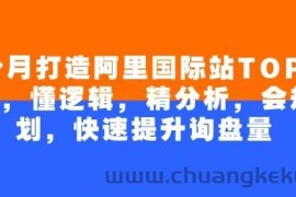 4个月打造阿里国际站TOP店铺，懂逻辑，精分析，会规划，快速提升询盘量