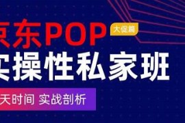 京东POP实操性私家班——大促篇，​三天时间，实战剖析-​原价4980