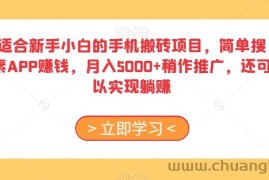 适合新手小白的手机搬砖项目，简单搜素APP赚钱，月入5000+稍作推广，还可以实现躺赚【揭秘】