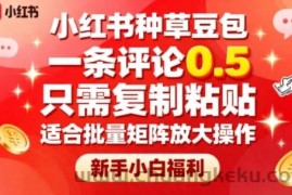 小红书种草豆包，一条评论0.5，只需复制粘贴，适合批量矩阵放大操作，新手小白福利