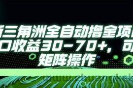 最新AI全自动游戏撸金项目，单窗口收益30-70+，可批量操作【揭秘】
